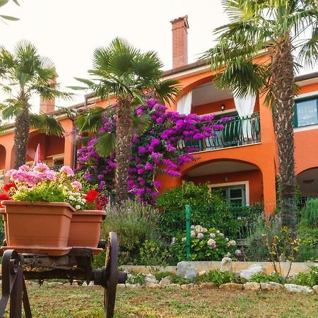 Apartments Mirjana Novigrad  Zewnętrze zdjęcie