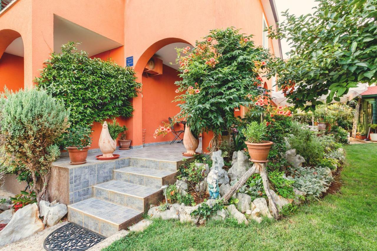 Apartments Mirjana Novigrad  Zewnętrze zdjęcie