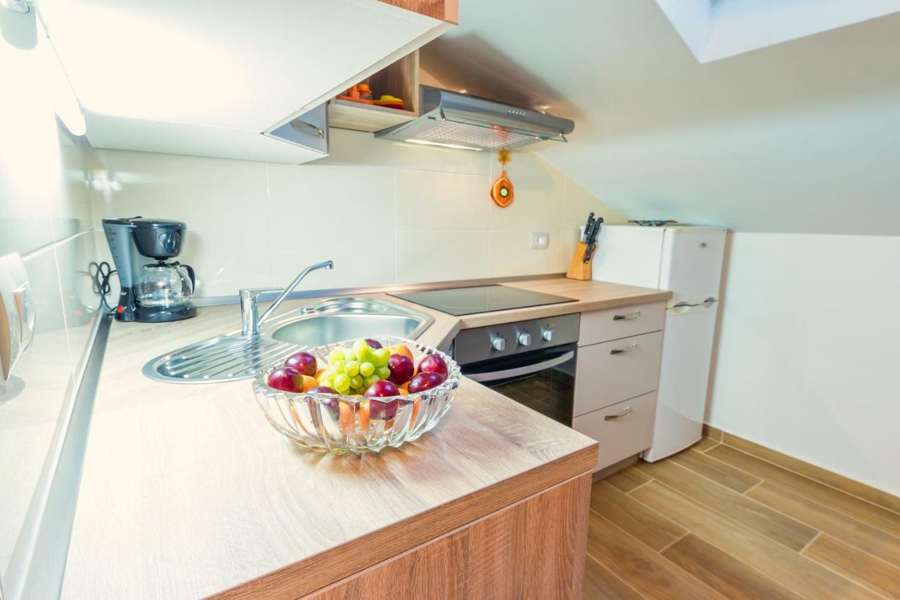 Apartments Mirjana Novigrad  Zewnętrze zdjęcie
